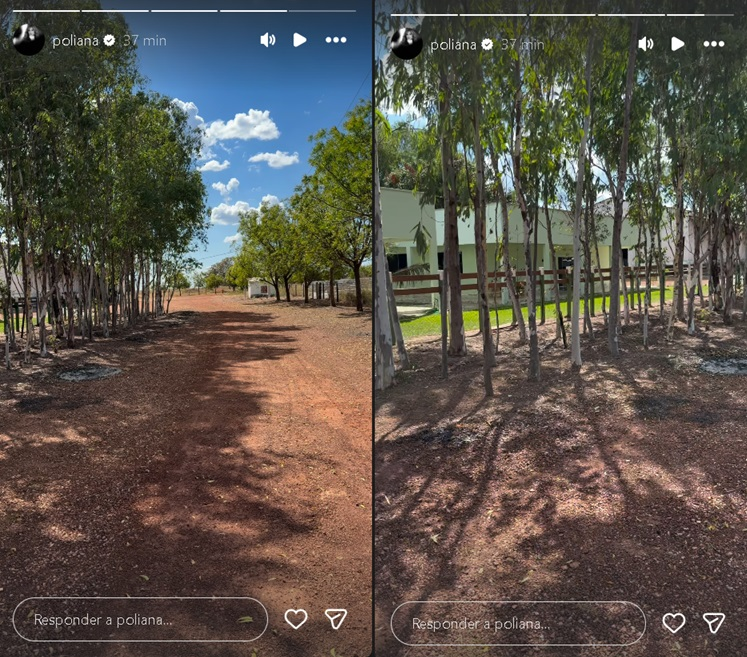 Caminho de terra em meio a árvores e vista lateral de casa na fazenda de Leonardo, compartilhada por Poliana Rocha.