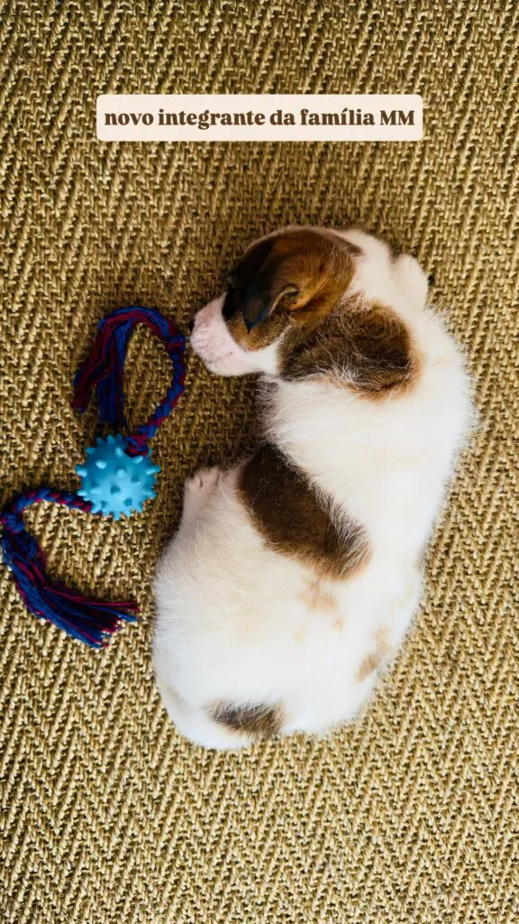 Foto do novo cachorro de Tati Machado