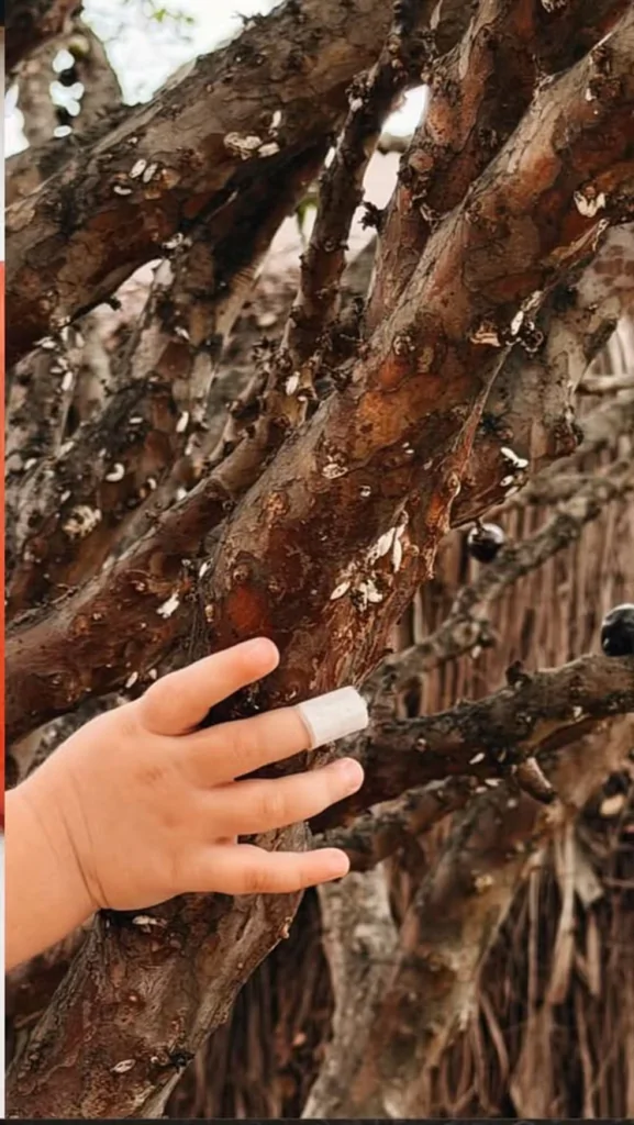 Amanda Kimberlly mostra dedo